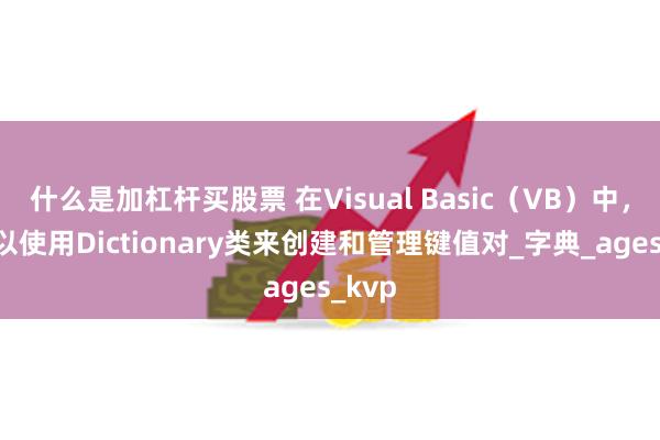 什么是加杠杆买股票 在Visual Basic（VB）中，你可以使用Dictionary类来创建和管理键值对_字典_ages_kvp
