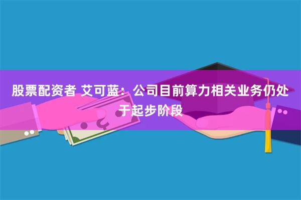 股票配资者 艾可蓝：公司目前算力相关业务仍处于起步阶段