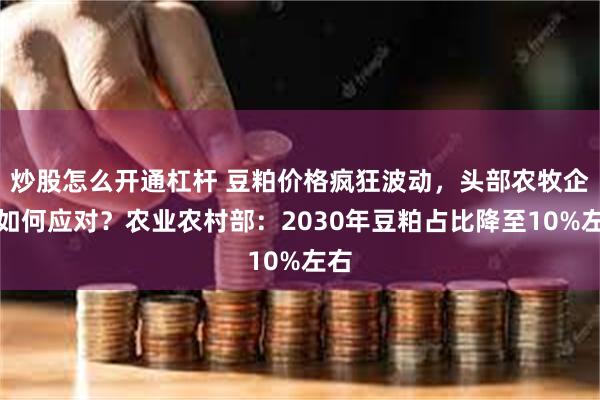 炒股怎么开通杠杆 豆粕价格疯狂波动，头部农牧企业如何应对？农业农村部：2030年豆粕占比降至10%左右