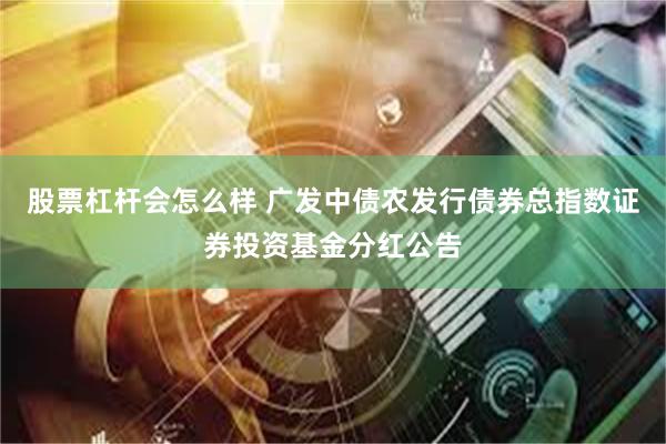 股票杠杆会怎么样 广发中债农发行债券总指数证券投资基金分红公告