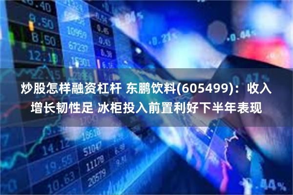 炒股怎样融资杠杆 东鹏饮料(605499)：收入增长韧性足 冰柜投入前置利好下半年表现