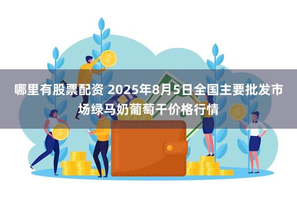哪里有股票配资 2025年8月5日全国主要批发市场绿马奶葡萄干价格行情