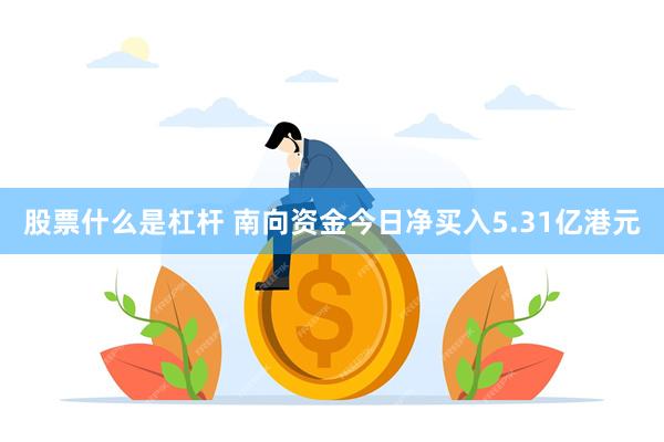 股票什么是杠杆 南向资金今日净买入5.31亿港元